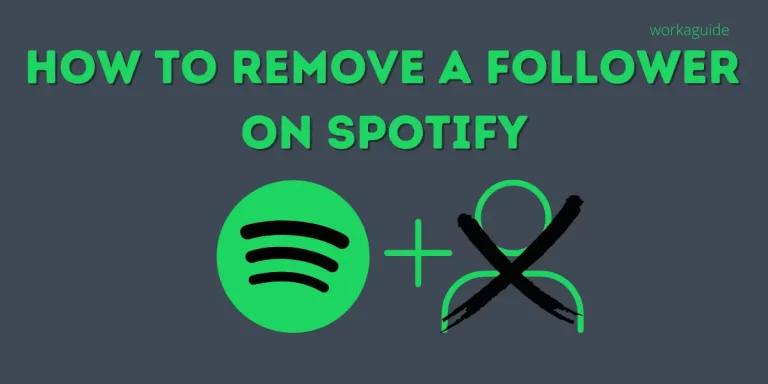 How To Remove a Follower on Spotify (2022)